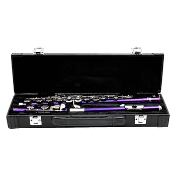 Жесткий футляр для флейты из искусственной кожи, сумка для флейты с 16 клавишами и защелкой, множество внутренних карманов, сумка для флейты, сумка для переноски для начинающих 0